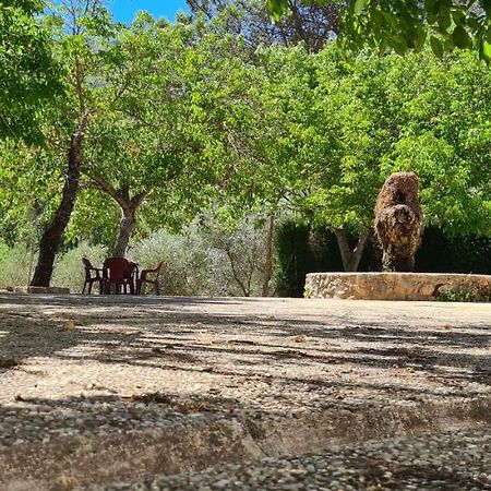 Alojamiento Turistico El Pantano De Cazorla Кото Риос Екстериор снимка